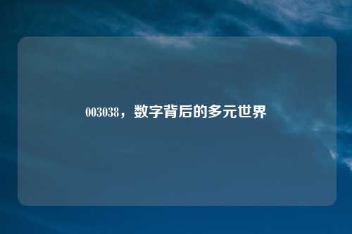 003038,数字背后的多元世界