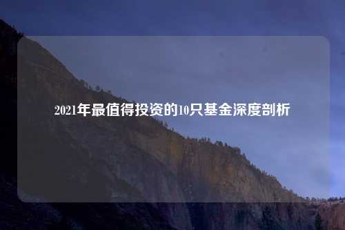 2021年最值得投资的10只基金深度剖析
