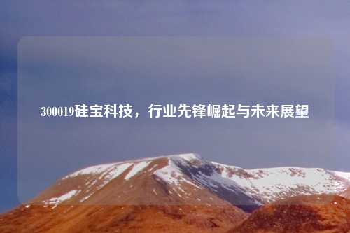 300019硅宝科技，行业先锋崛起与未来展望