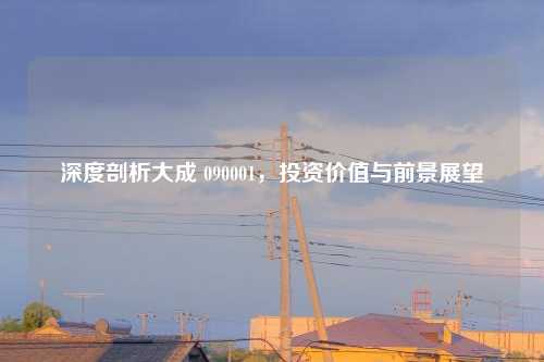 深度剖析大成 090001,投资价值与前景展望