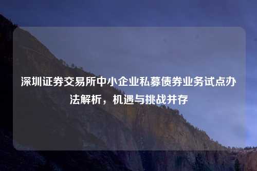 深圳证券交易所中小企业私募债券业务试点办法解析，机遇与挑战并存