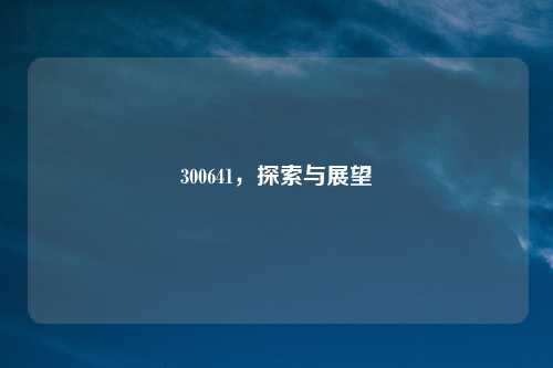 300641，探索与展望