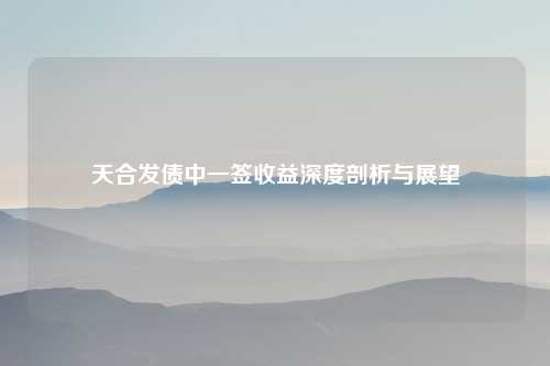 天合发债中一签收益深度剖析与展望