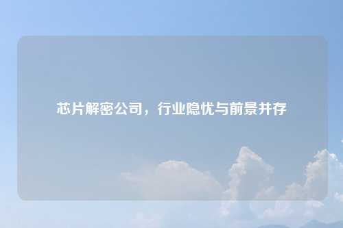 芯片解密公司,行业隐忧与前景并存