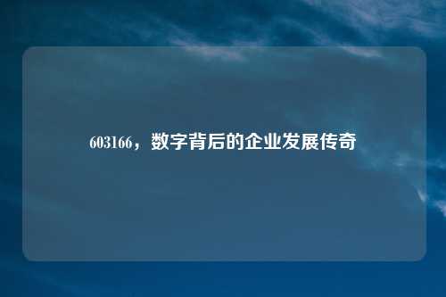 603166,数字背后的企业发展传奇