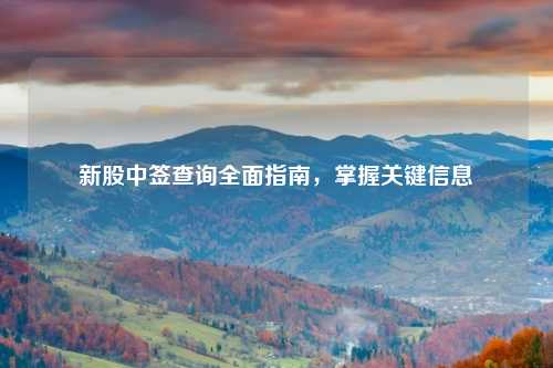 新股中签查询全面指南，掌握关键信息