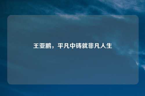 王亚鹏,平凡中铸就非凡人生