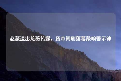 赵薇退出龙薇传媒,资本闹剧落幕敲响警示钟