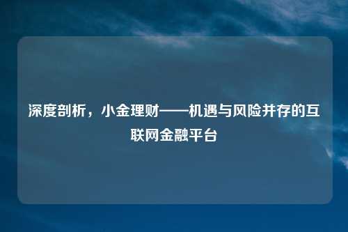 深度剖析,小金理财——机遇与风险并存的互联网金融平台