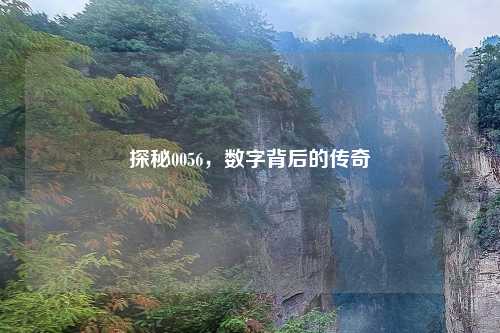 探秘0056,数字背后的传奇