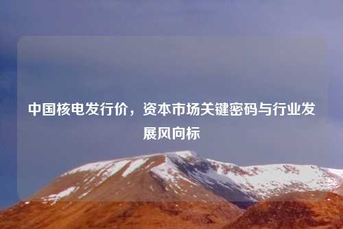 中国核电发行价,资本市场关键密码与行业发展风向标