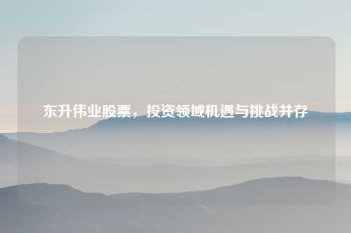 东升伟业股票,投资领域机遇与挑战并存