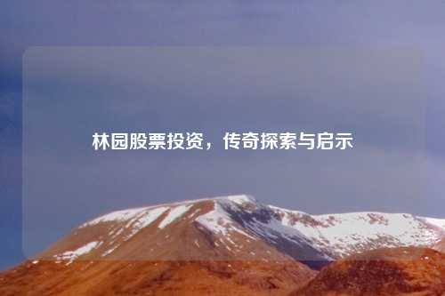 林园股票投资,传奇探索与启示