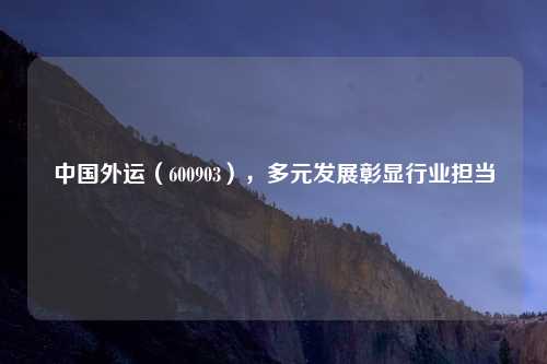 中国外运（600903），多元发展彰显行业担当