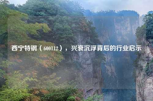 西宁特钢（600112），兴衰沉浮背后的行业启示