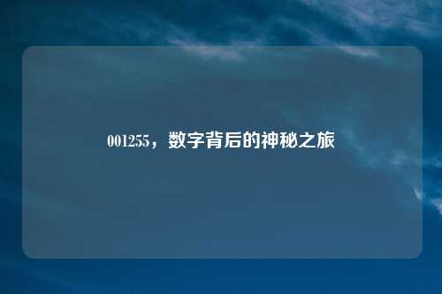 001255，数字背后的神秘之旅