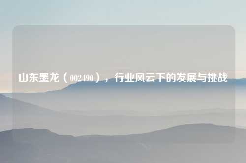 山东墨龙（002490），行业风云下的发展与挑战