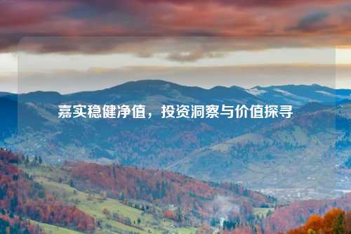 嘉实稳健净值，投资洞察与价值探寻