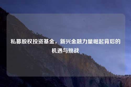 私募股权投资基金，新兴金融力量崛起背后的机遇与挑战