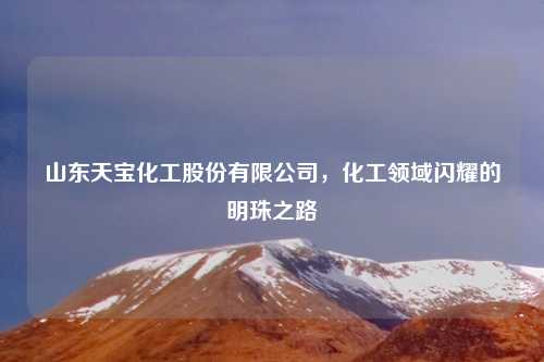 山东天宝化工股份有限公司，化工领域闪耀的明珠之路