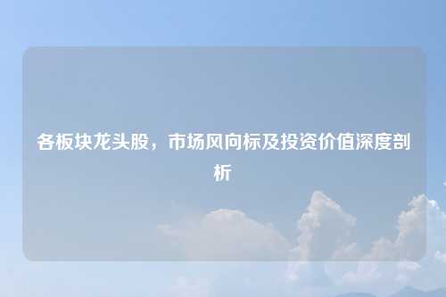各板块龙头股,市场风向标及投资价值深度剖析