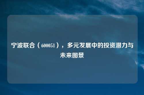 宁波联合（600051），多元发展中的投资潜力与未来图景